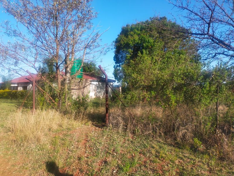 A view of the rear property grounds featuring mature trees, overgrown vegetation, wire mesh fencing, and a water storage tank.