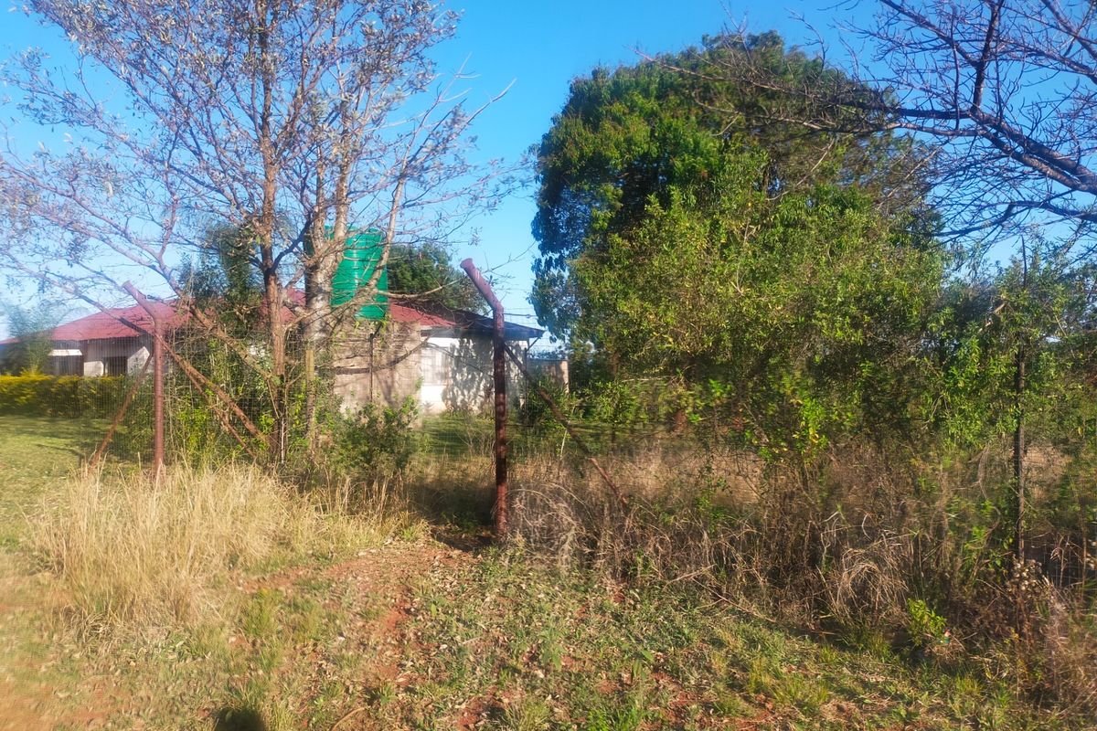 A view of the rear property grounds featuring mature trees, overgrown vegetation, wire mesh fencing, and a water storage tank.
