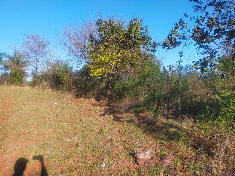 A view of a vacant residential plot featuring mature trees and existing wire perimeter fencing.