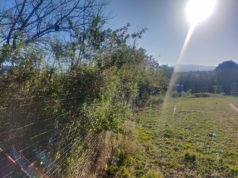 A view of a vacant residential plot featuring established trees, wire mesh perimeter fencing, and a water storage tank in the distance.