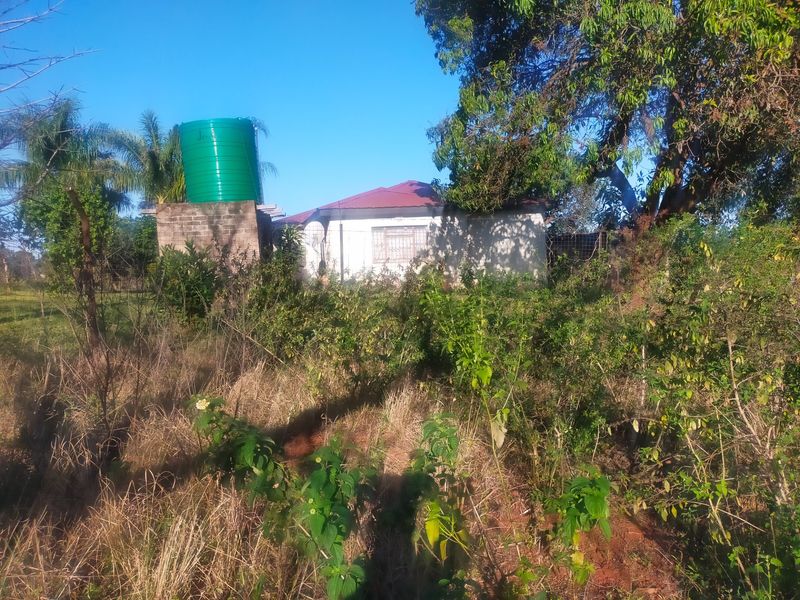 Rear view of the property featuring a residential structure with a metal roof, security bars, and an elevated water storage tank on a masonry stand.
