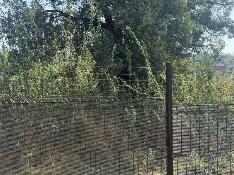 A view of the property boundary featuring secure mesh fencing topped with electric security wires and mature perimeter vegetation.