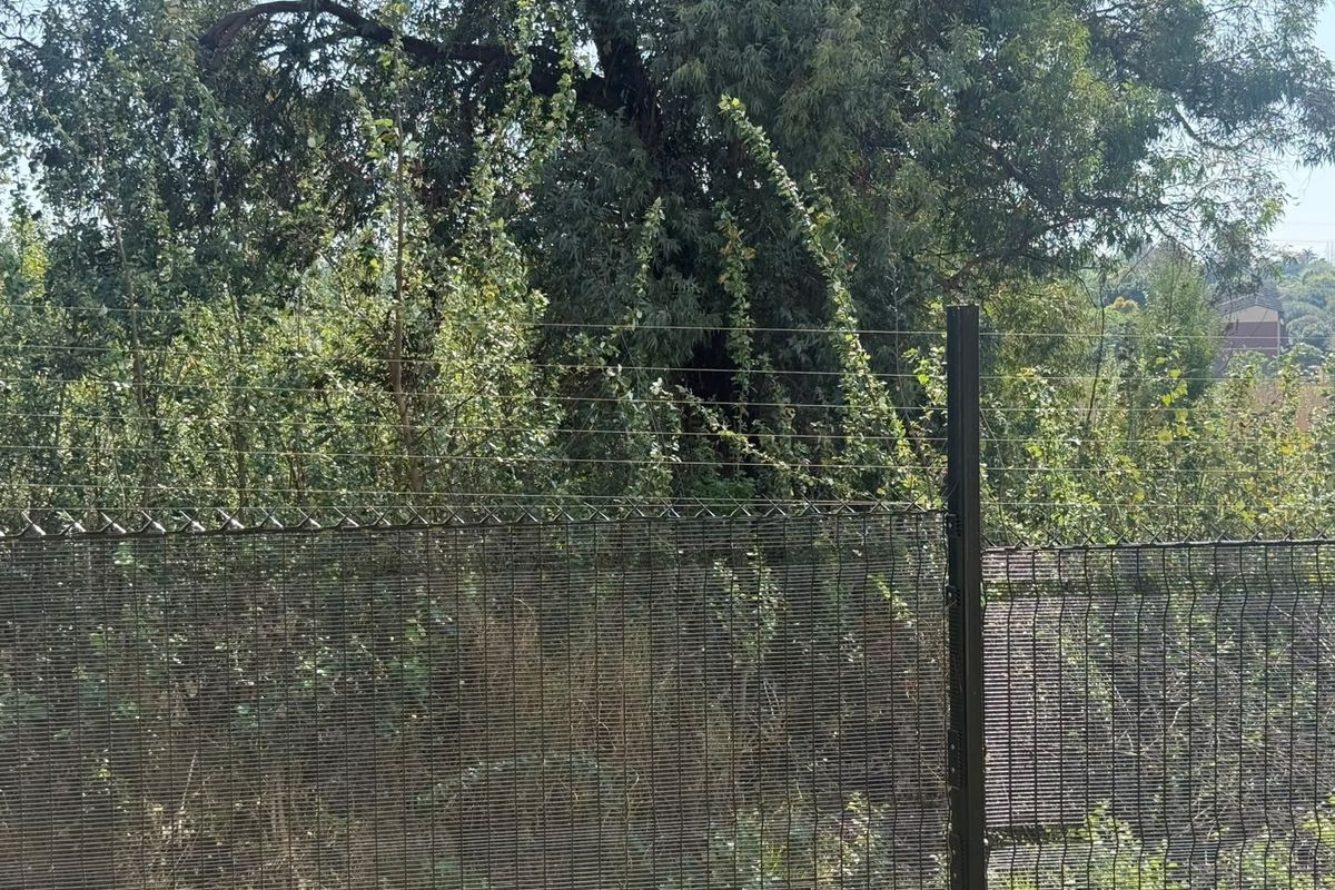 A view of the property boundary featuring secure mesh fencing topped with electric security wires and mature perimeter vegetation.