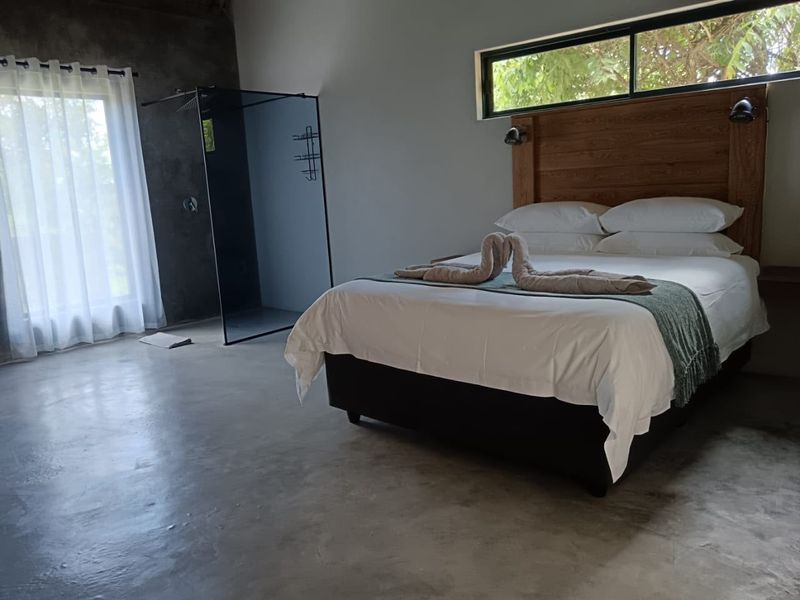 Modern bedroom featuring polished concrete floors, a built-in wooden headboard, and an open-plan glass shower enclosure with natural light.