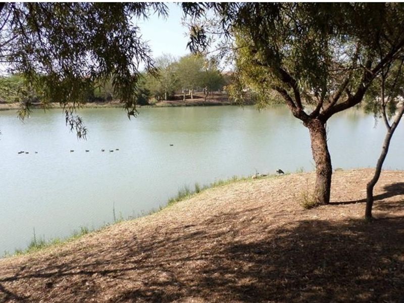 A scenic view of a tranquil lake surrounded by mature trees, offering a peaceful natural outlook.