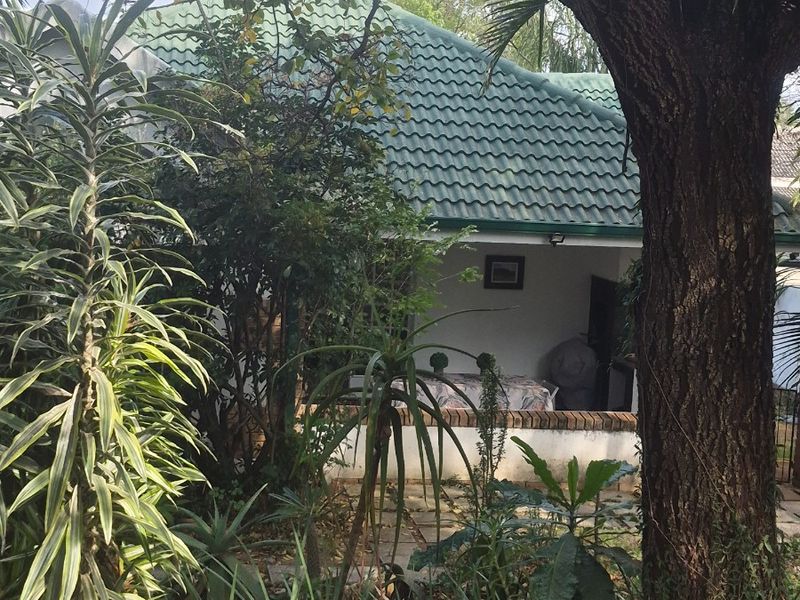 A view of the rear garden featuring a covered patio area with a tiled roof and established landscaping.