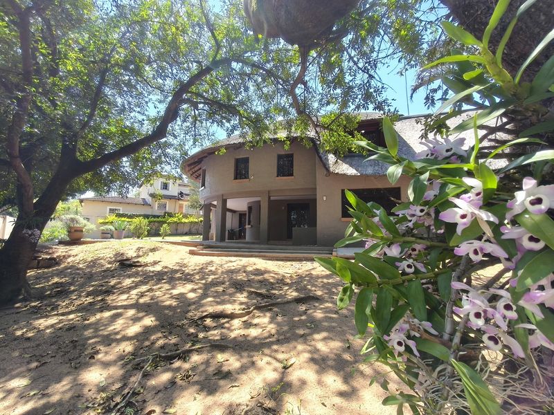 Rear view of a house featuring a traditional thatch roof and a covered patio area set within a mature, tree-lined garden.
