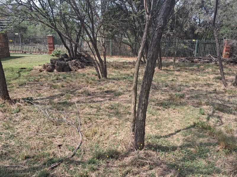A view of the residential garden area featuring mature trees, natural ground cover, and secure perimeter fencing with brick pillars.