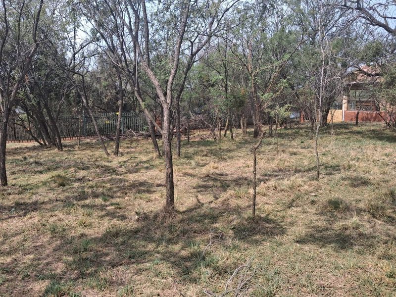A view of a vacant residential plot featuring mature trees, natural grassland, and perimeter fencing.