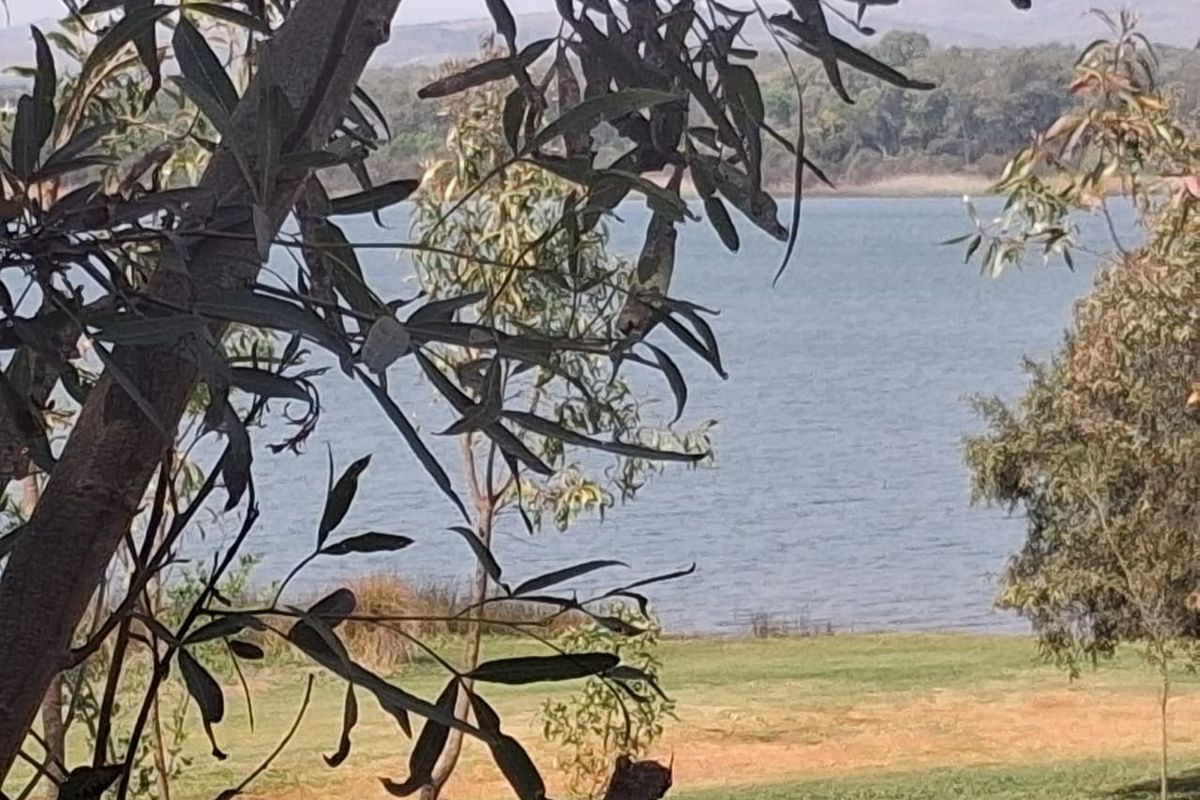 A scenic view of the lake and surrounding landscape, framed by trees on the vacant residential property.