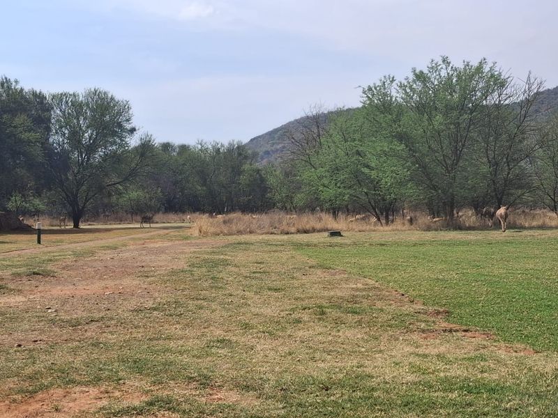 A spacious, natural residential plot featuring established indigenous trees, a maintained lawn area, and scenic mountain views in a tranquil setting.