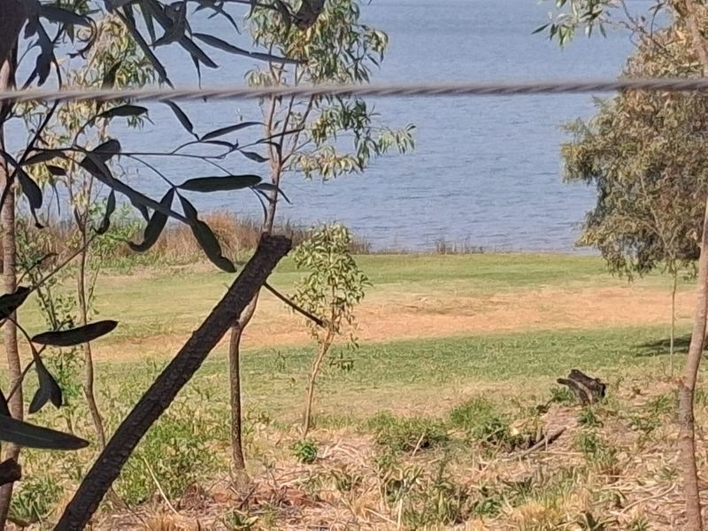 A scenic view of a waterfront area featuring natural grassland and mature trees, offering a peaceful landscape perspective.