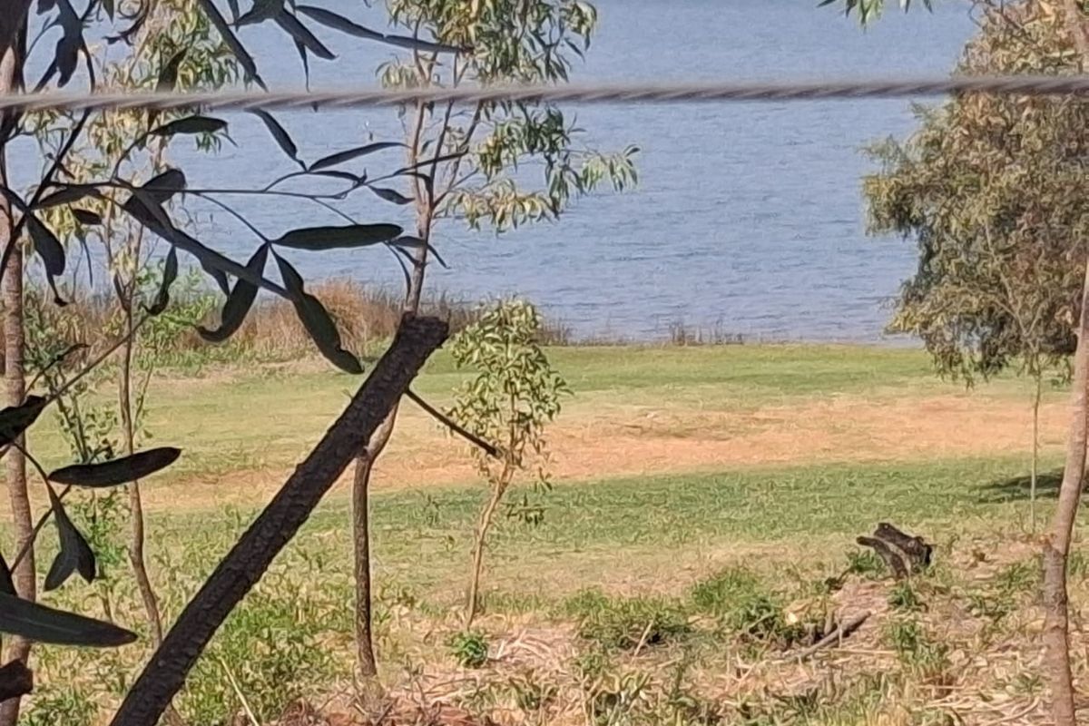 A scenic view of a waterfront area featuring natural grassland and mature trees, offering a peaceful landscape perspective.