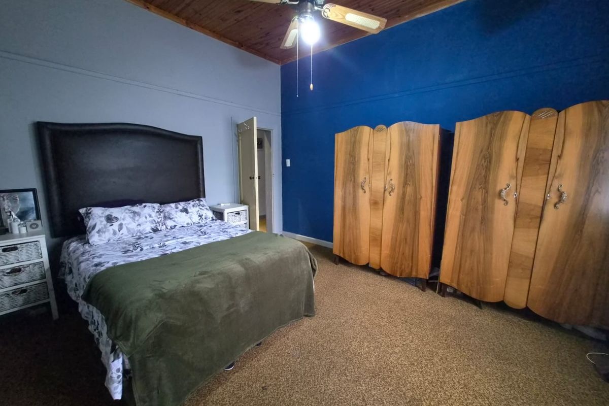 Spacious bedroom featuring a timber tongue and groove ceiling, ceiling fan, and carpeted flooring.