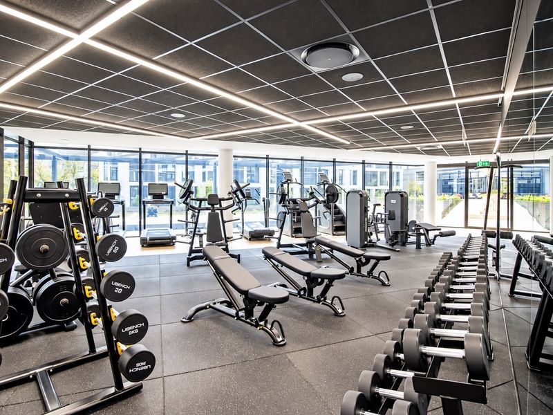 A modern, well-equipped fitness center featuring rubber flooring, a suspended acoustic ceiling with integrated lighting, and expansive floor-to-ceiling windows.