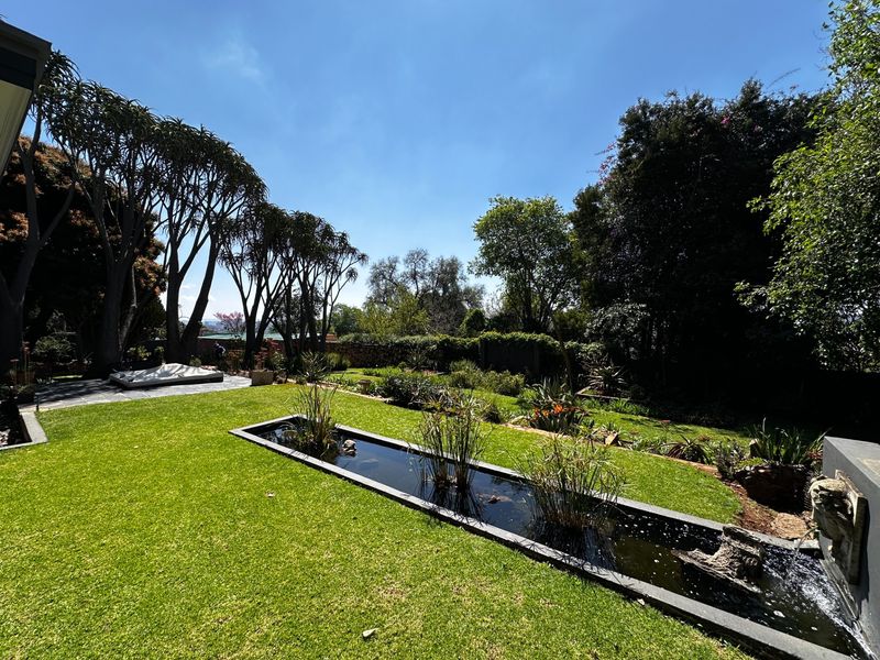 A well-maintained garden featuring a linear water feature, lush green lawn, and mature trees, providing a serene outdoor space.