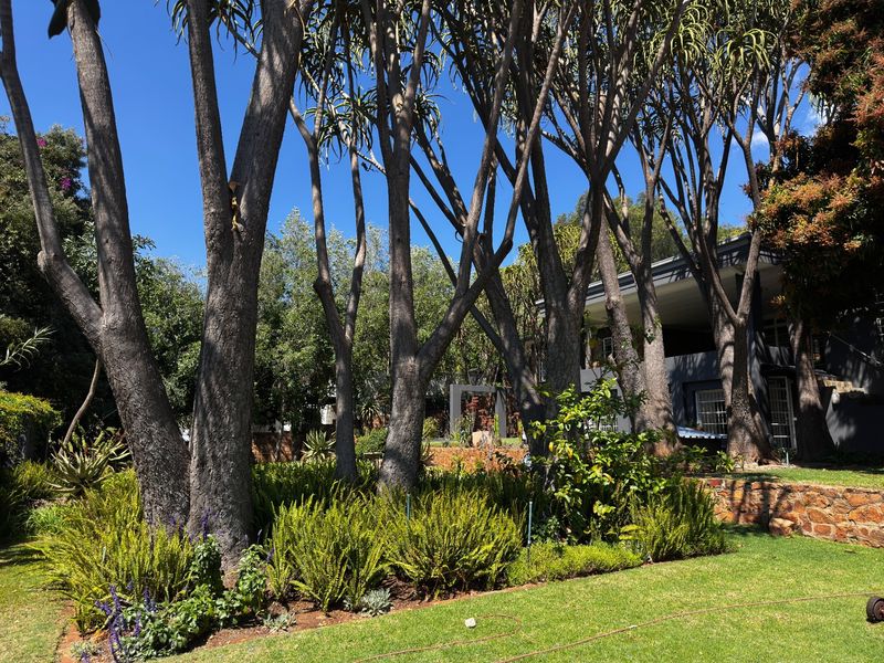 A lush, well-maintained garden featuring mature trees, established shrubbery, and a stone retaining wall, providing a serene outdoor setting.