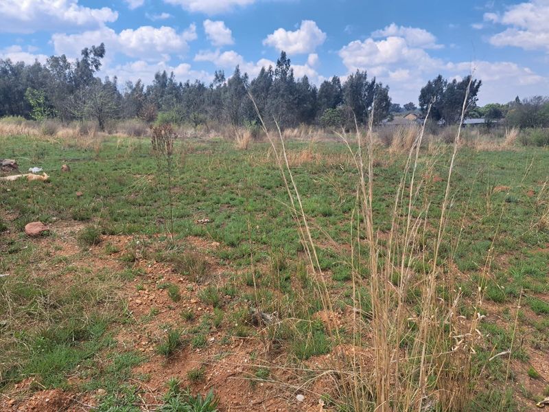 A view of a vacant residential plot featuring natural grass, scattered rocks, and mature trees in the background.