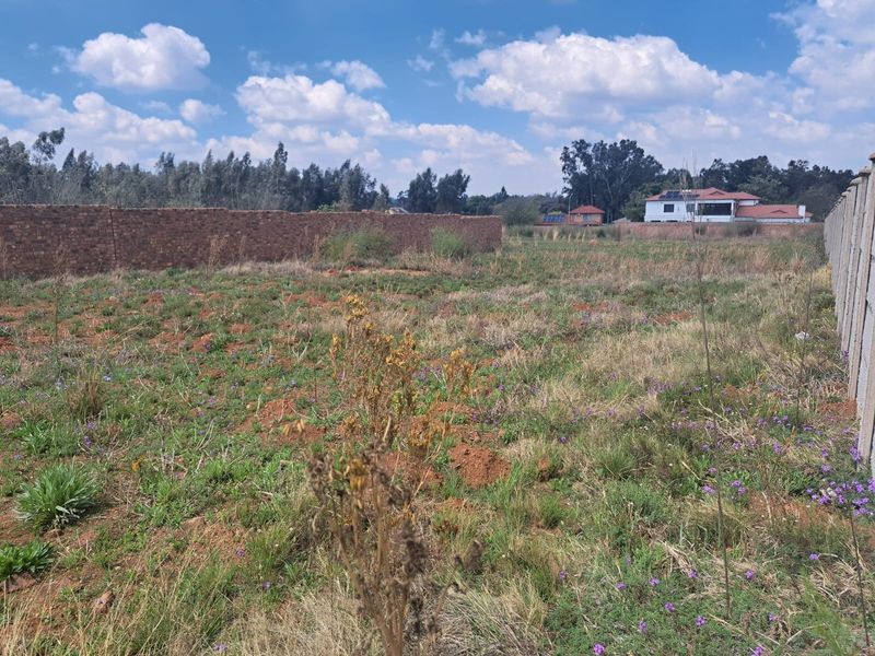 A vacant residential plot featuring natural vegetation, enclosed by a brick boundary wall on one side and a precast concrete wall on the other.