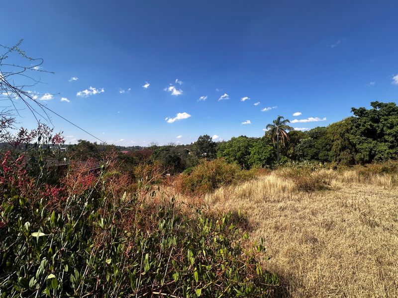 A scenic view overlooking a natural landscape with mature trees and dry grass, showcasing the property's surrounding environment.