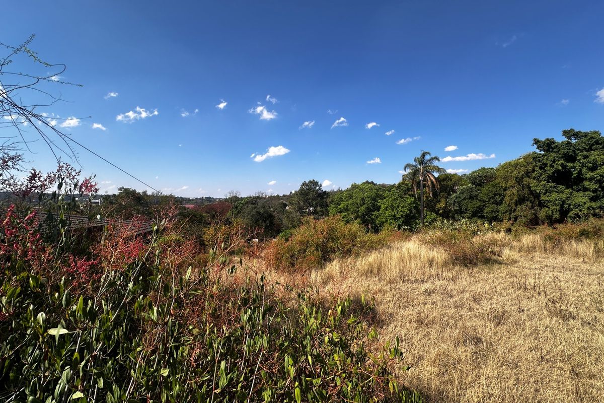A scenic view overlooking a natural landscape with mature trees and dry grass, showcasing the property's surrounding environment.
