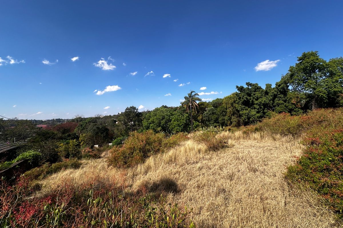A view of a vacant residential plot featuring natural vegetation, mature trees, and open landscape under a clear blue sky.