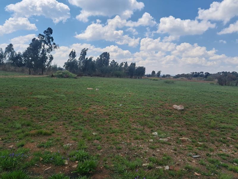 A wide, open plot of vacant residential land featuring natural grass coverage and scattered trees under a clear blue sky.