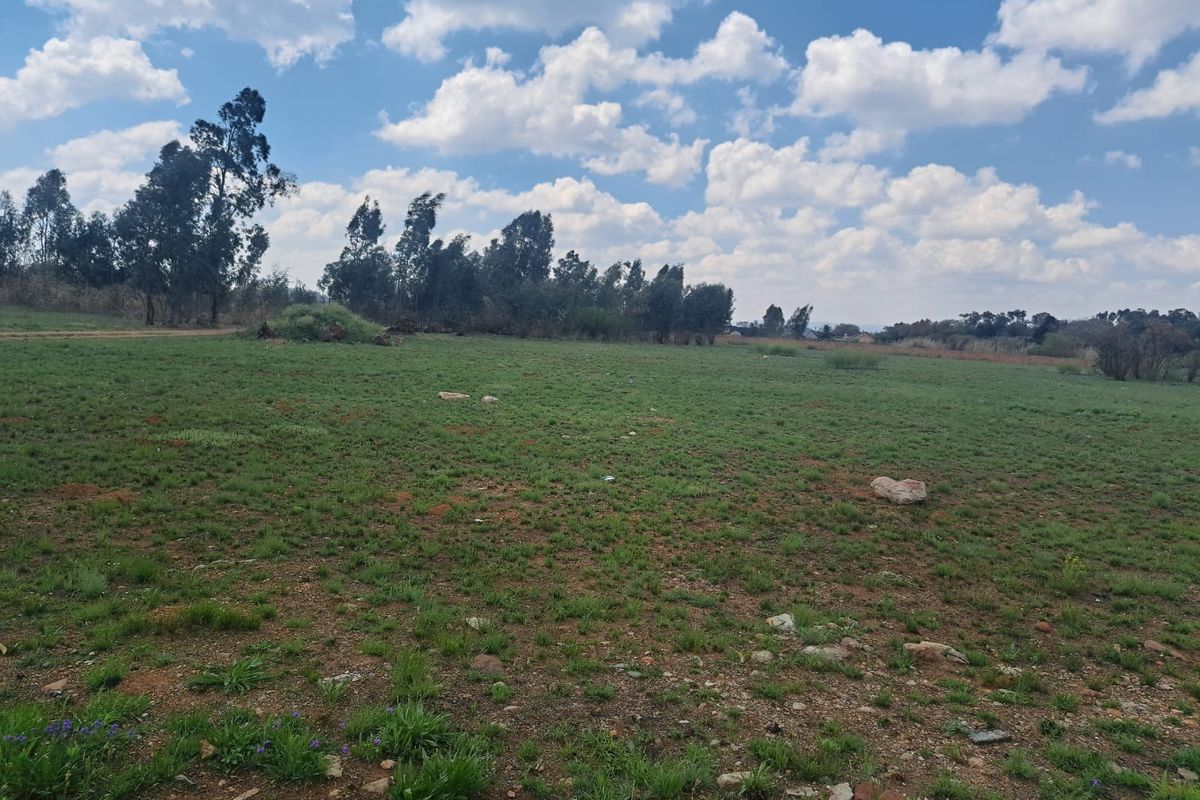 A wide, open plot of vacant residential land featuring natural grass coverage and scattered trees under a clear blue sky.