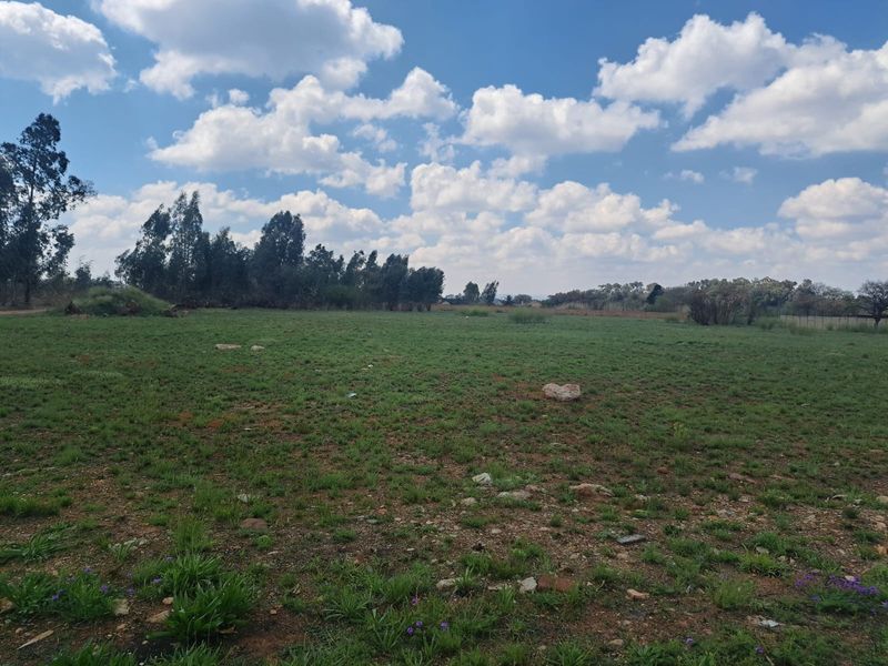 A wide-angle view of a vacant residential plot featuring natural grass and scattered rocks under a clear sky.
