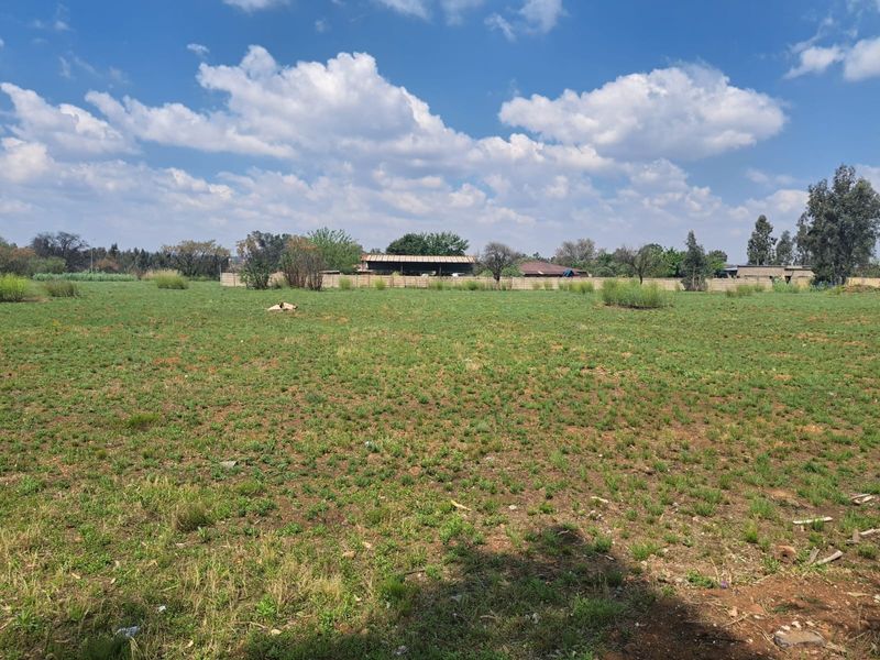 A wide, open vacant residential plot featuring natural grassland and a perimeter boundary wall in the background.