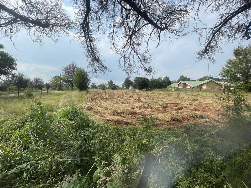 An expansive, undeveloped plot of land featuring cleared vegetation and mature trees, offering significant potential for agricultural or residential development.
