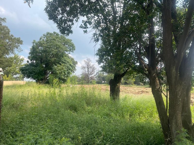 A view of the farm property featuring mature trees and an area of cleared land with overgrown grass.