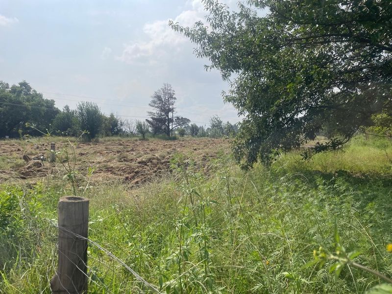 An expansive view of the farm land featuring natural vegetation, mature trees, and perimeter wire fencing with wooden posts.