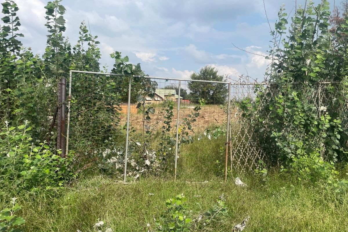 A view of a rural property boundary featuring an overgrown wire mesh fence and a metal gate, showing significant signs of neglect.