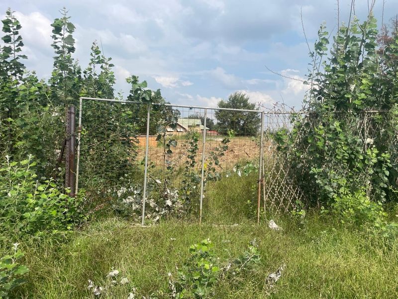 A view of a rural property boundary featuring an overgrown wire mesh fence and a metal gate, showing significant signs of neglect.