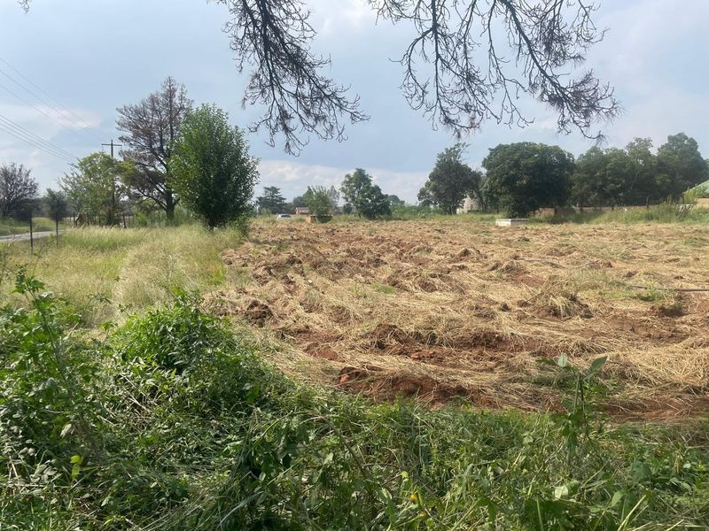 A view of a large, cleared plot of land on the farm, featuring natural vegetation and open space.