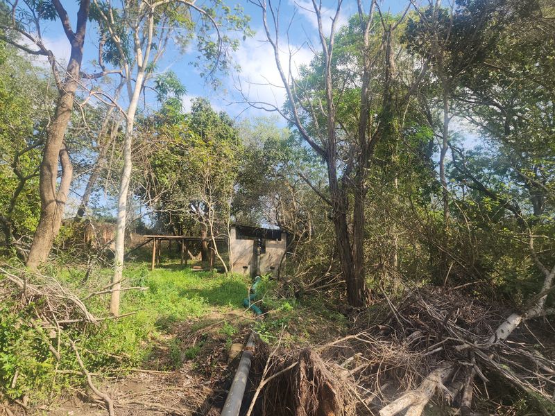 Outdoor utility area featuring a concrete pump housing and irrigation infrastructure surrounded by dense, overgrown vegetation on the farm property.