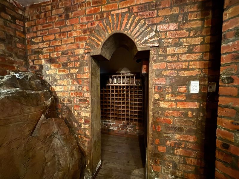 A unique wine cellar featuring exposed brick walls, an arched entrance, and a natural rock feature, providing a rustic and characterful storage space.