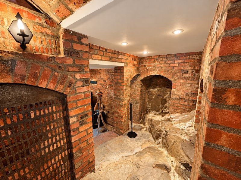 A unique, character-filled cellar featuring exposed brickwork, natural rock formations, and arched alcoves, ideal for a wine storage or atmospheric feature space.
