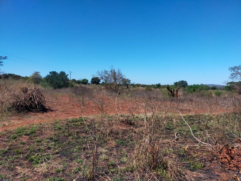 An expansive view of the undeveloped farm landscape featuring natural vegetation and open terrain under a clear blue sky.