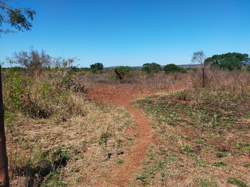 An expansive view of the natural farm landscape featuring open veld, native vegetation, and a clear horizon under a bright blue sky.