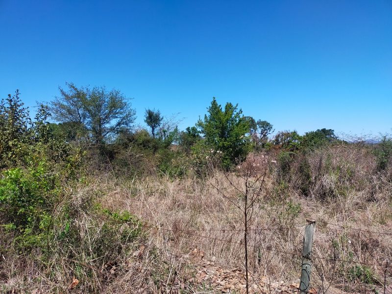 An undeveloped plot of land featuring natural vegetation, trees, and a perimeter barbed wire fence with wooden posts.
