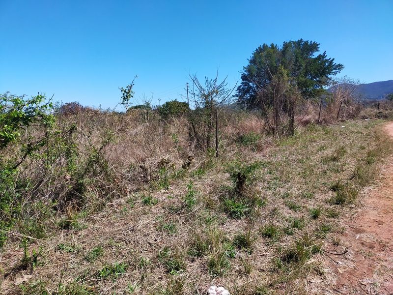 An undeveloped plot of land featuring overgrown wild vegetation, a dirt track, and perimeter wire fencing under a clear blue sky.