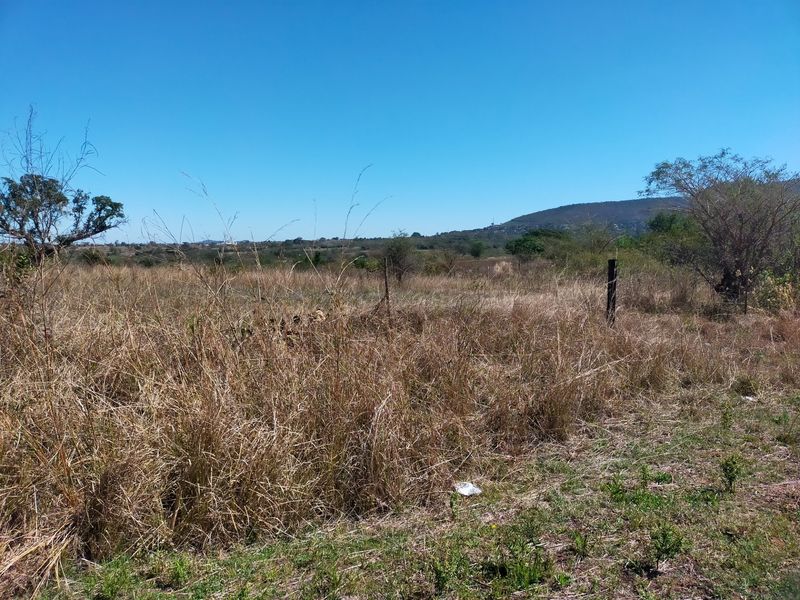 An expansive view of the open farm landscape featuring natural vegetation and distant hills under a clear blue sky.