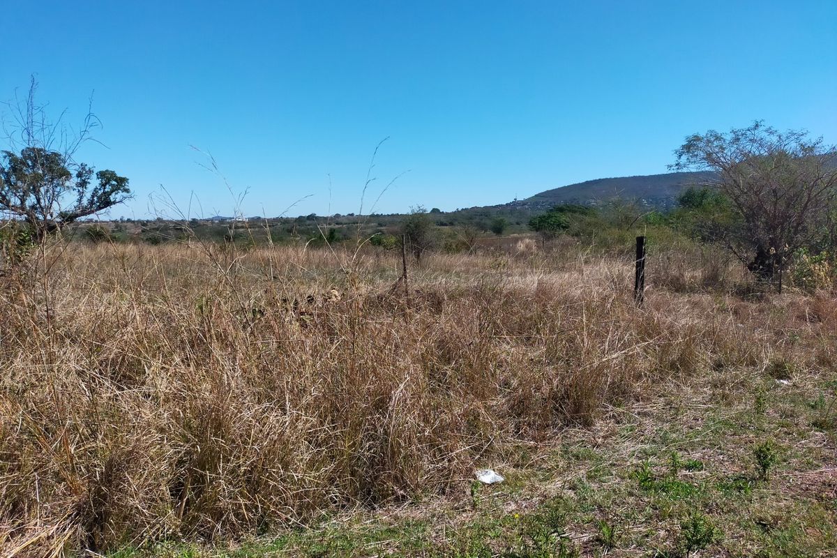 An expansive view of the open farm landscape featuring natural vegetation and distant hills under a clear blue sky.