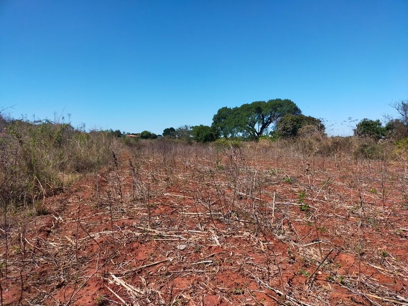 An expansive, undeveloped plot of land featuring natural red soil and native vegetation, suitable for agricultural or future development purposes.