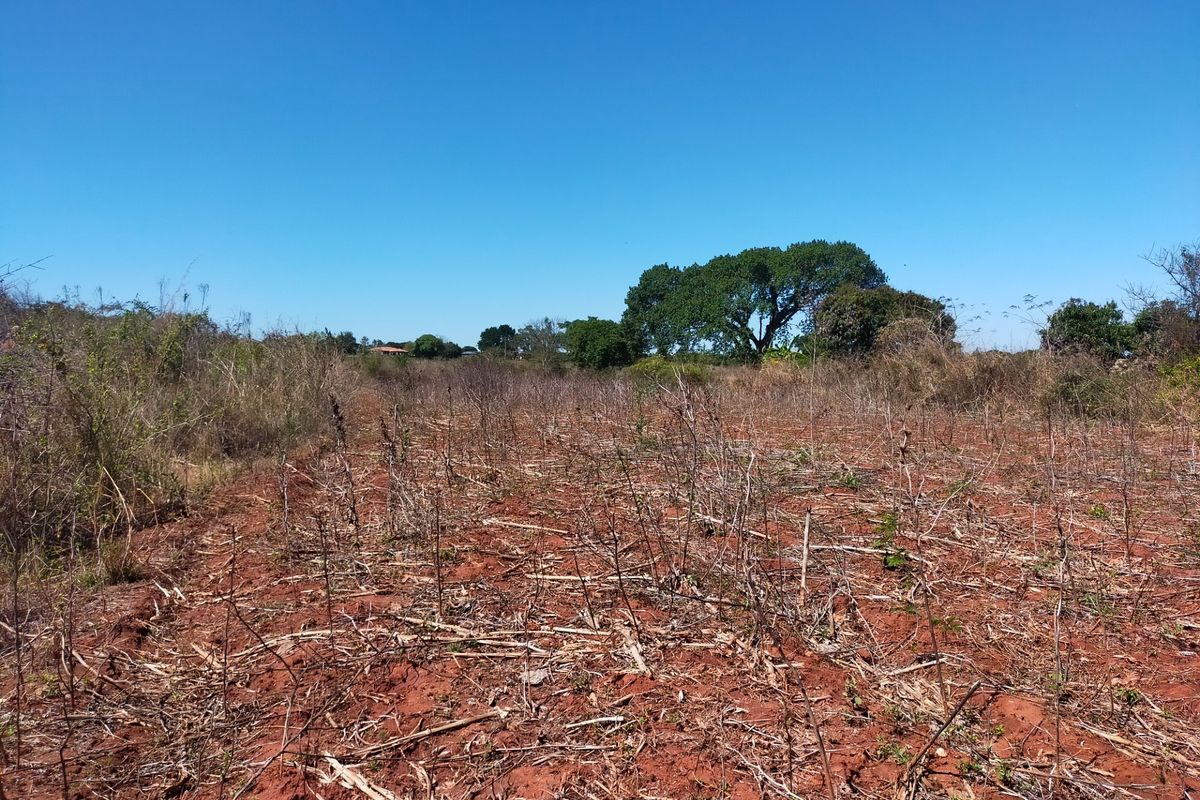 An expansive, undeveloped plot of land featuring natural red soil and native vegetation, suitable for agricultural or future development purposes.