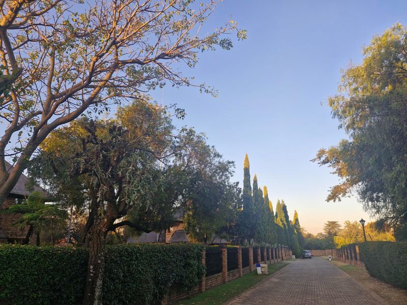 A well-maintained residential street view featuring a paved driveway, established trees, and brick boundary walling with fencing.