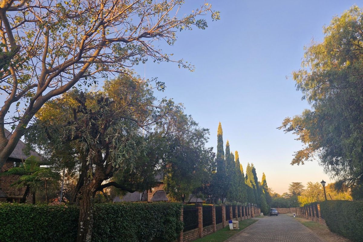 A well-maintained residential street view featuring a paved driveway, established trees, and brick boundary walling with fencing.