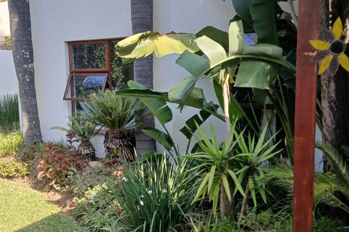 A view of the rear exterior wall featuring a timber-framed awning window, surrounded by a well-established garden with mature trees and shrubs.